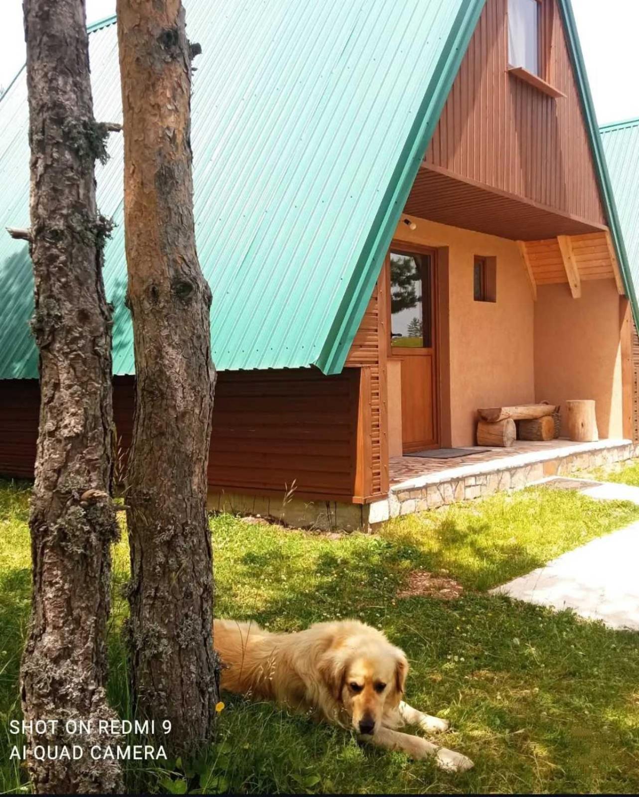Vikendice Smolovic Vila Žabljak Exterior foto